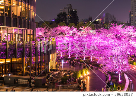 《東京都》,東京中城,夜晚櫻花盛開 《東京都》,東京中城,夜晚櫻花盛開 39638037