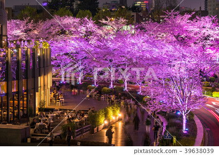 《東京都》,東京中城,夜晚櫻花盛開 《東京都》,東京中城,夜晚櫻花盛開 39638039