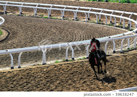 Running horses 39638247