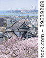 和歌山城堡的櫻花 39639289