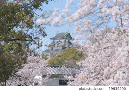 和歌山城堡的櫻花 和歌山城堡的櫻花 39639290