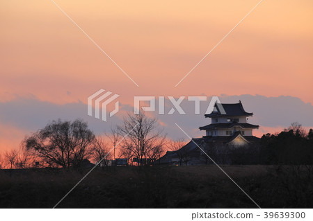 千葉縣野田城市野田城 千葉縣野田城市野田城 39639300