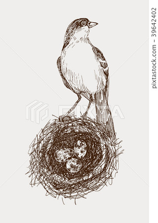 Vector illustration of hand drawn nest with Vector illustration of hand drawn nest with 39642402