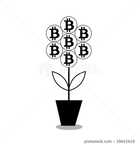 vector illustration of bitcoin flower in the pot. vector illustration of bitcoin flower in the pot. 39642629
