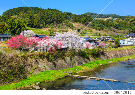 吉田川的定居費佐倉[佐賀縣嬉野市] 39642912