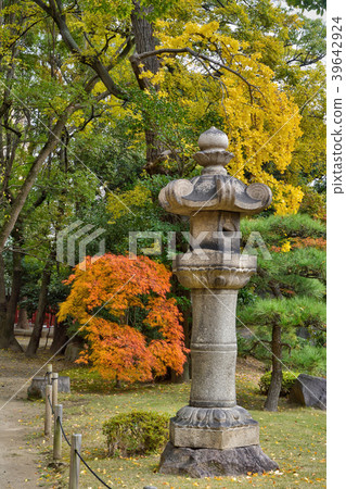 Autumn leaves of Shitennoji Autumn leaves of Shitennoji 39642924