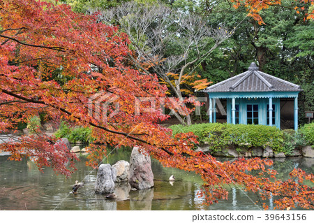 Autumn leaves of Shitennoji 39643156
