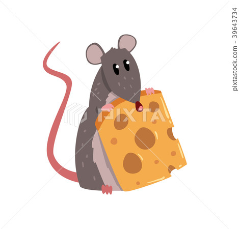 Cute grey mouse holding piece of cheese, funny Cute grey mouse holding piece of cheese, funny 39643734