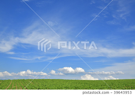 複製空間藍天和地球北海道美瑛 複製空間藍天和地球北海道美瑛 39643953