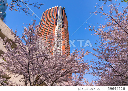 “東京”櫻花和大廈大廈 “東京”櫻花和大廈大廈 39644226