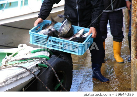 魚市場 39644389