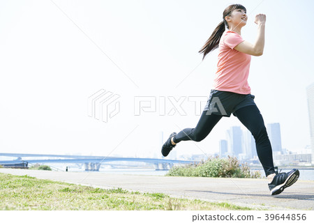 Training run 39644856