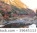 在河的紅色橋樑 39645113