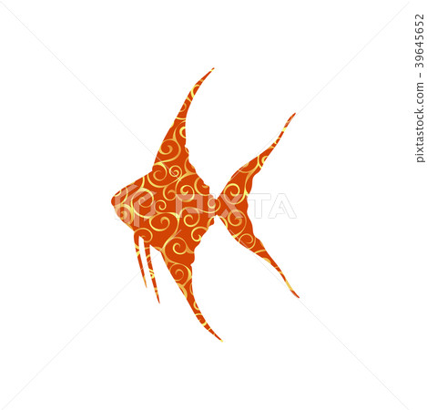 Scalare fish spiral pattern color silhouette 39645652