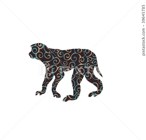 Macaque monkey primate spiral pattern color Macaque monkey primate spiral pattern color 39645785