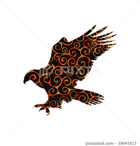 Hawk eagle falcon bird spiral pattern color Hawk eagle falcon bird spiral pattern color 39645815
