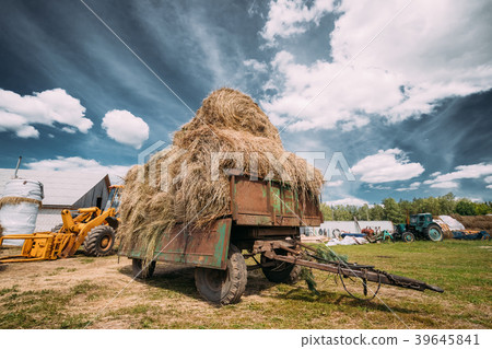 Tractor Cart With Dry Grass Straw Bales In Tractor Cart With Dry Grass Straw Bales In 39645841