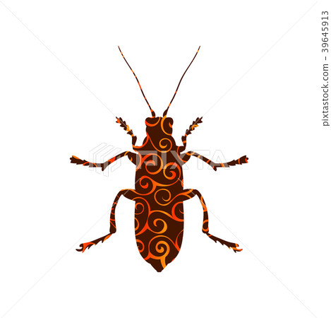 Beetle insect spiral pattern color silhouette 39645913