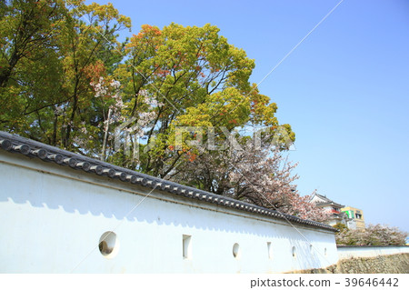 Fukuyama Castle 39646442