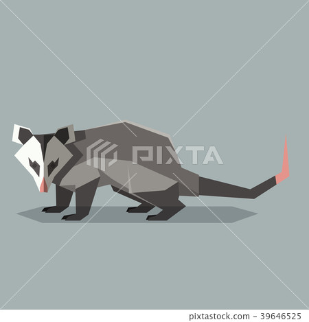 Flat polygonal Opossum 39646525