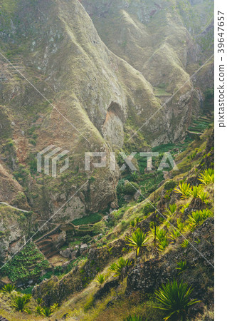 Incredible view of the lush green ravine covered 39647657