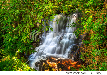 Beautiful waterfall with a pink flower in Thailand Beautiful waterfall with a pink flower in Thailand 39648539