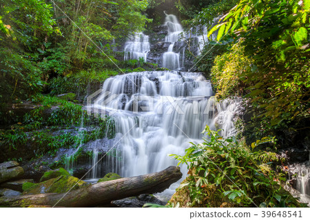 Beautiful waterfall with a pink flower in Thailand 39648541