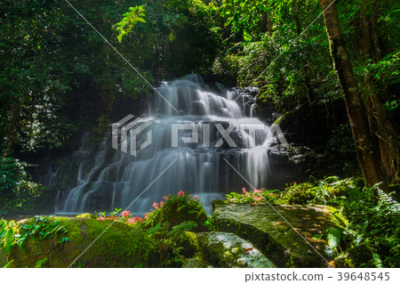 Beautiful waterfall with a pink flower in Thailand 39648545