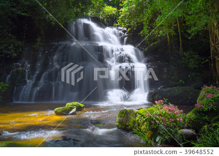 Beautiful waterfall with a pink flower in Thailand 39648552