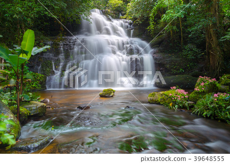 Beautiful waterfall with a pink flower in Thailand Beautiful waterfall with a pink flower in Thailand 39648555