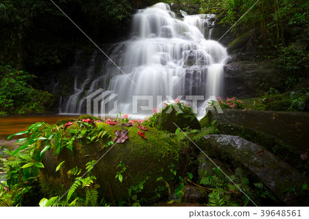 Beautiful waterfall with a pink flower in Thailand 39648561