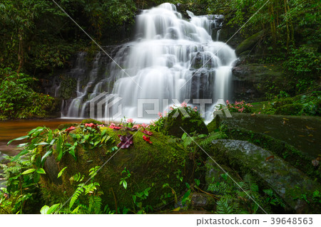 Beautiful waterfall with a pink flower in Thailand 39648563