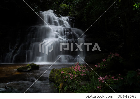 Beautiful waterfall with a pink flower in Thailand 39648565