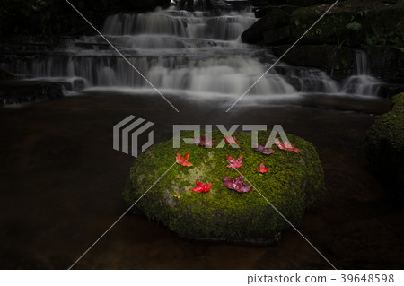 Beautiful waterfall with a pink flower in Thailand Beautiful waterfall with a pink flower in Thailand 39648598