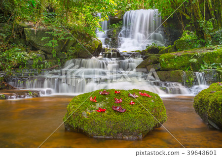 Beautiful waterfall with a pink flower in Thailand 39648601