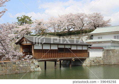 Fukui Castle Ruins 39649298