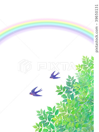 Swallow and early summer rainbow 39650131