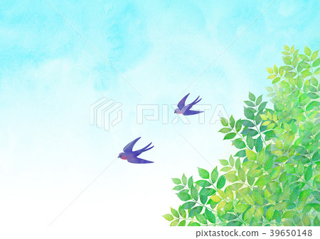 燕子和初夏的天空 39650148