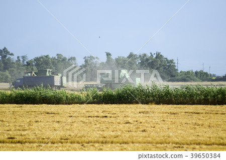 Combine harvesters. Agricultural machinery. 39650384