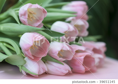 Tender bouquet of pink tulips with green leaves Tender bouquet of pink tulips with green leaves 39651145