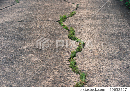 Earthquake crack Earthquake crack 39652227