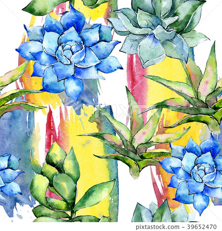 Tropical plant. Floral botanical flower. Wild Tropical plant. Floral botanical flower. Wild 39652470