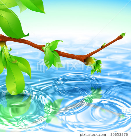 Spring fresh natural background; Concentric circular waves ripple on the water; Branch with leaves and buds Spring fresh natural background; Concentric circular waves ripple on the water; Branch with leaves and buds 39653376