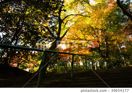 Autumn leaves of Changgyeongsa Temple Autumn leaves of Changgyeongsa Temple 39654177