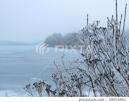 Winter 39654461