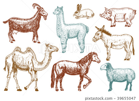 Farm Cute Animal big set. Vector illustration - Stock Illustration ...
