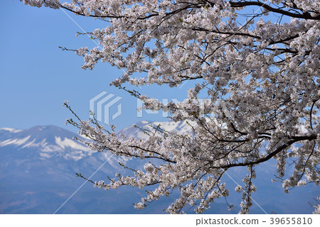 Azuma的山峰 39655810