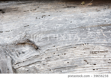 紋理自然本底木木板木頭自然 39656238