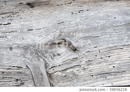 Texture natural background Wood Wood Board Wood Nature 39656239