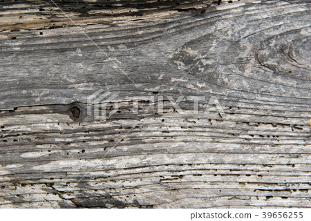 Texture natural background Wood Wood Board Wood Nature 39656255